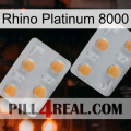 Rhino Platinum 8000 25